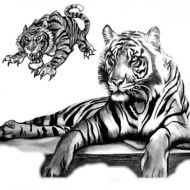 Wzór tatuażu Tygrys